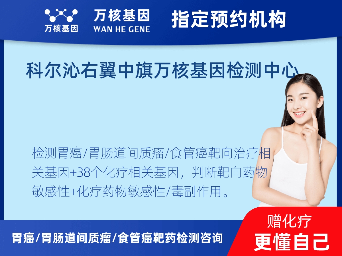 胃癌/胃腸道間質(zhì)瘤/食管癌靶藥25基因檢測