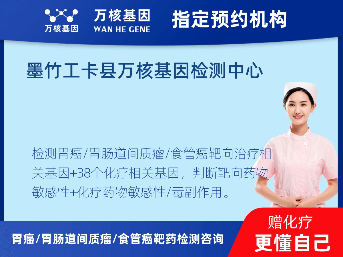 胃癌/胃腸道間質瘤/食管癌靶藥51基因+PD-L1+MSI檢測 胃癌/胃腸道間質瘤/食管癌靶藥51基因+PD-L1+MSI檢測