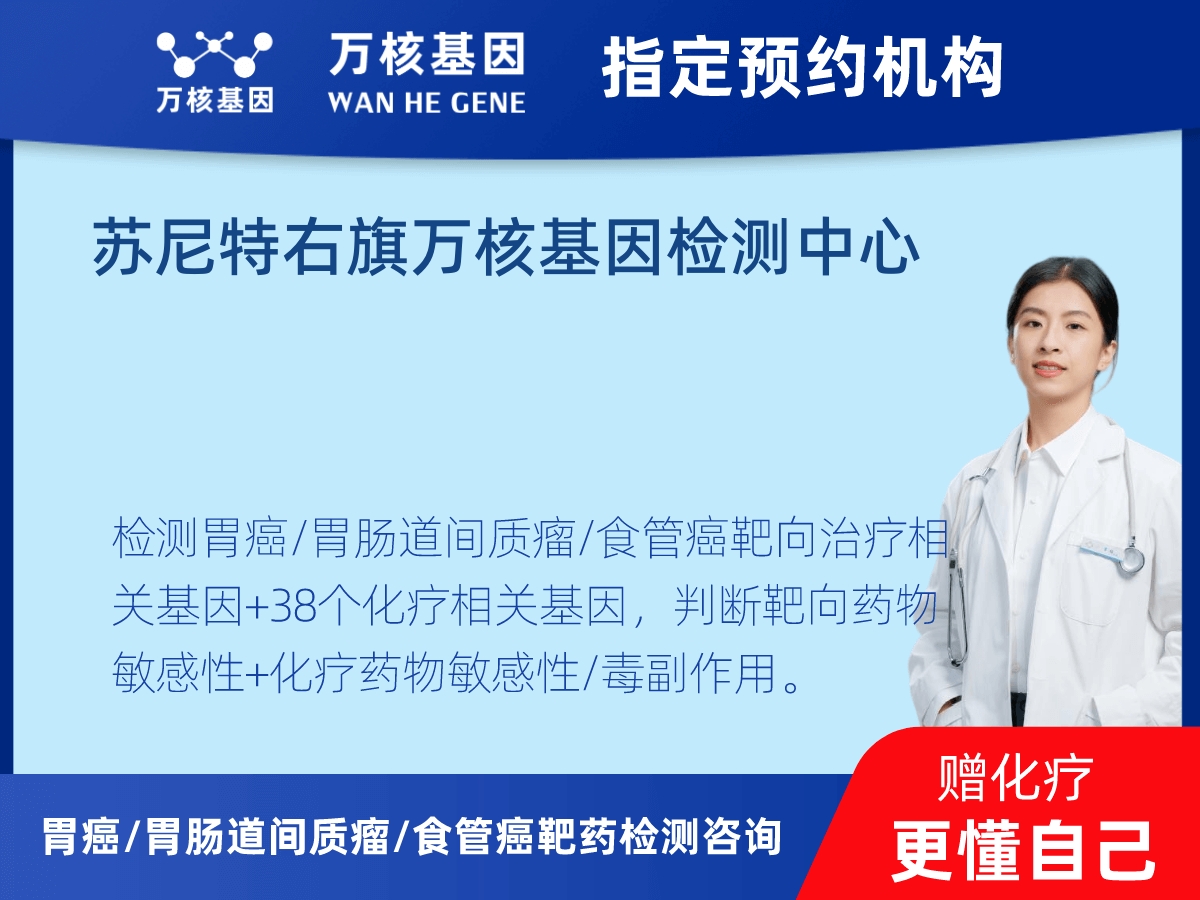 胃癌/胃腸道間質(zhì)瘤/食管癌靶藥25基因+PD-L1+MSI檢測 胃癌/胃腸道間質(zhì)瘤/食管癌靶藥25基因+PD-L1+MSI檢測