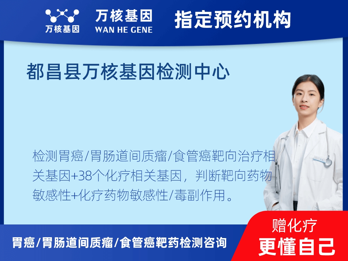 胃癌/胃腸道間質(zhì)瘤/食管癌靶藥25基因+PD-L1+MSI檢測(cè)