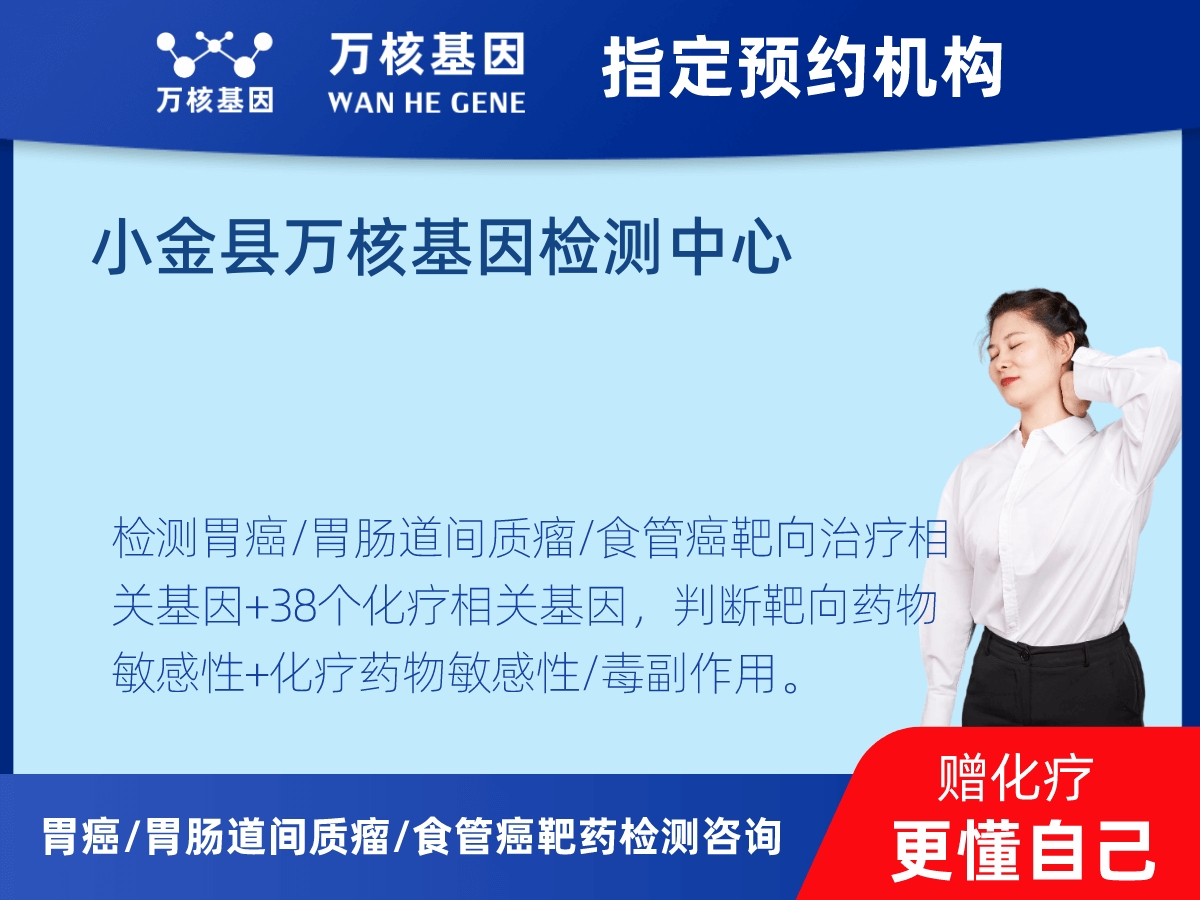 胃癌/胃腸道間質(zhì)瘤/食管癌靶藥25基因+PD-L1+MSI檢測