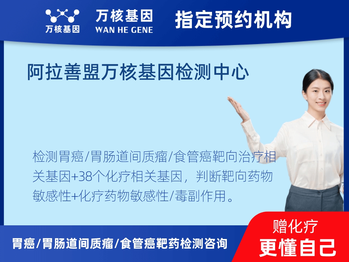 胃癌/胃腸道間質(zhì)瘤/食管癌靶藥51基因+PD-L1+MSI檢測(cè) 胃癌/胃腸道間質(zhì)瘤/食管癌靶藥51基因+PD-L1+MSI檢測(cè)