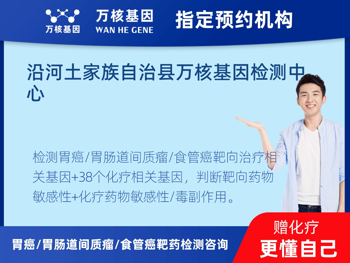 胃癌/胃腸道間質瘤/食管癌靶藥25基因+PD-L1+MSI檢測 胃癌/胃腸道間質瘤/食管癌靶藥25基因+PD-L1+MSI檢測