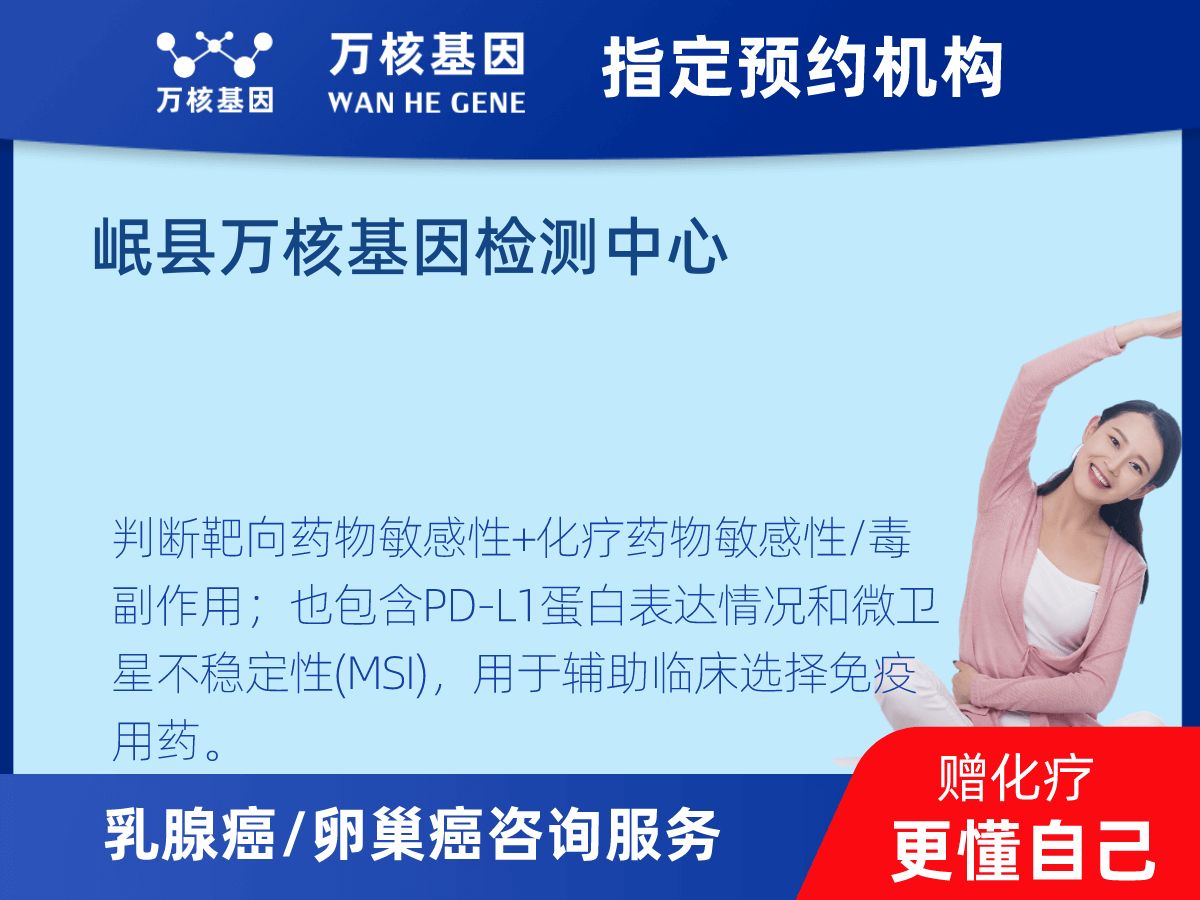 乳腺癌/卵巢癌靶70基因檢測