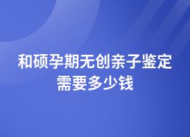 和碩做孕期無創親子鑒定價格多少合適
