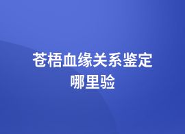 蒼梧血緣關系鑒定辦理地址查詢