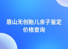 眉山無創胎兒親子鑒定檢查多少錢