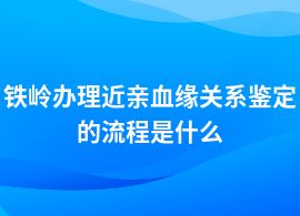 鐵嶺近親血緣關系鑒定的流程