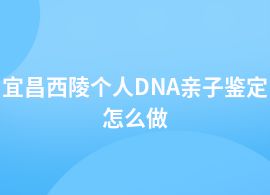 宜昌西陵個人DNA親子鑒定需要哪些流程呢