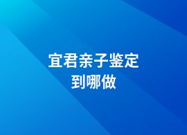 宜君親子鑒定到哪做