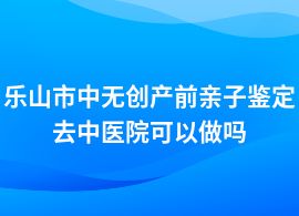 樂山市中做無創產前親子鑒定中醫院可做嗎