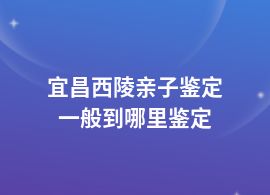 宜昌西陵親子鑒定地址查詢在哪