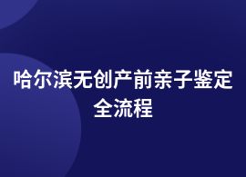 哈爾濱無創產前親子鑒定流程是什么