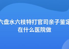 六盤水六枝特打官司親子鑒定醫(yī)院有哪些