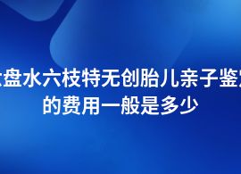 六盤水六枝特無創(chuàng)胎兒親子鑒定費用需要多少錢