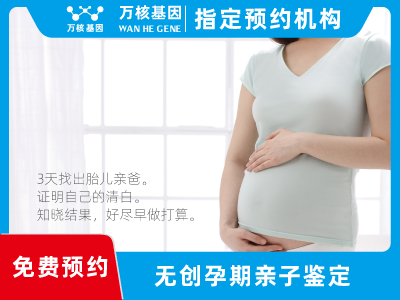 無創孕期dna胎兒親子鑒定