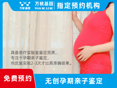 無創孕期dna胎兒親子鑒定