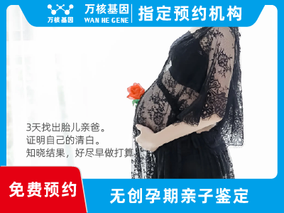 無創孕期dna胎兒親子鑒定