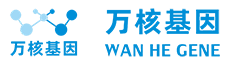 萬(wàn)核基因